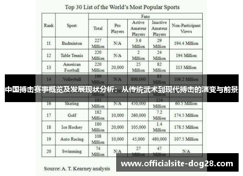 中国搏击赛事概览及发展现状分析:从传统武术到现代搏击的演变与前景