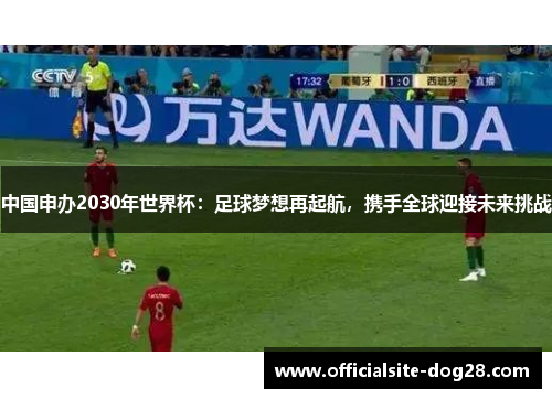 中国申办2030年世界杯:足球梦想再起航,携手全球迎接未来挑战