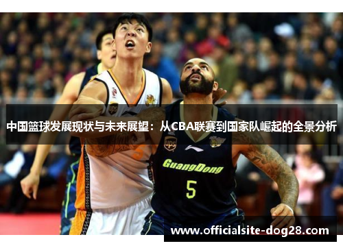 中国篮球发展现状与未来展望:从CBA联赛到国家队崛起的全景分析