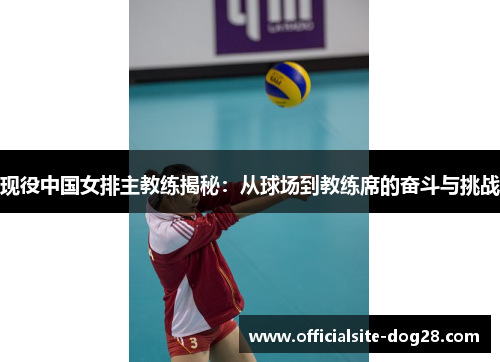 现役中国女排主教练揭秘:从球场到教练席的奋斗与挑战