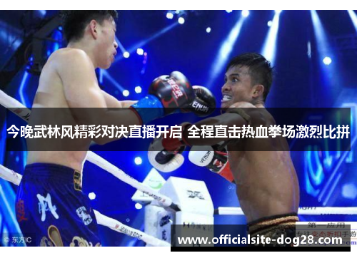 今晚武林风精彩对决直播开启 全程直击热血拳场激烈比拼